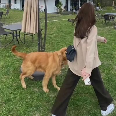 歌手是谁